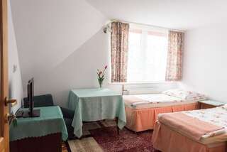 Загородные дома Gościniec w Sadurkach Наленчув Двухместный номер с 1 кроватью и собственной ванной комнатой-4